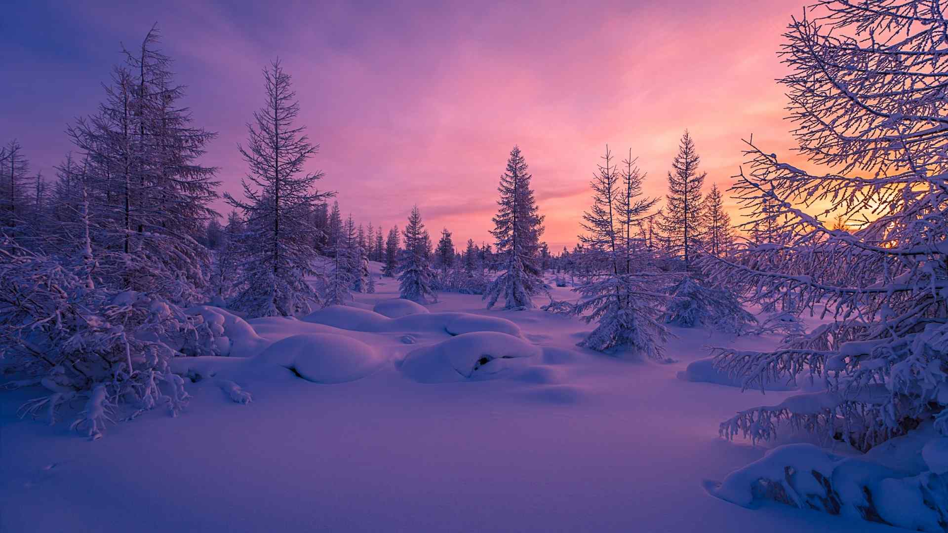 唯美的大自然梦幻雪景图片高清桌面壁纸