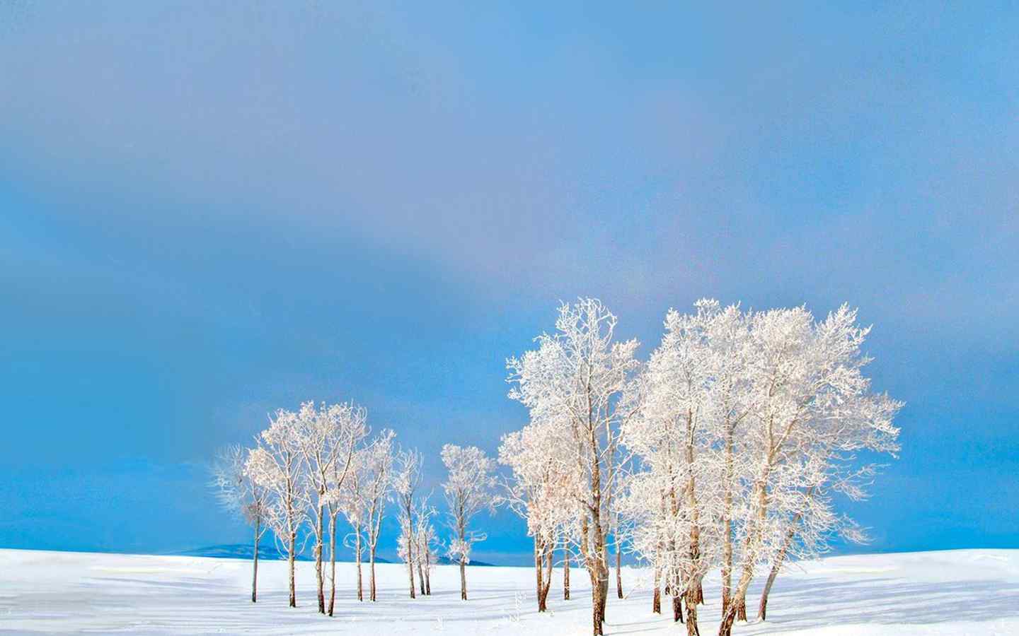 唯美的冬日雪景高清桌面壁纸