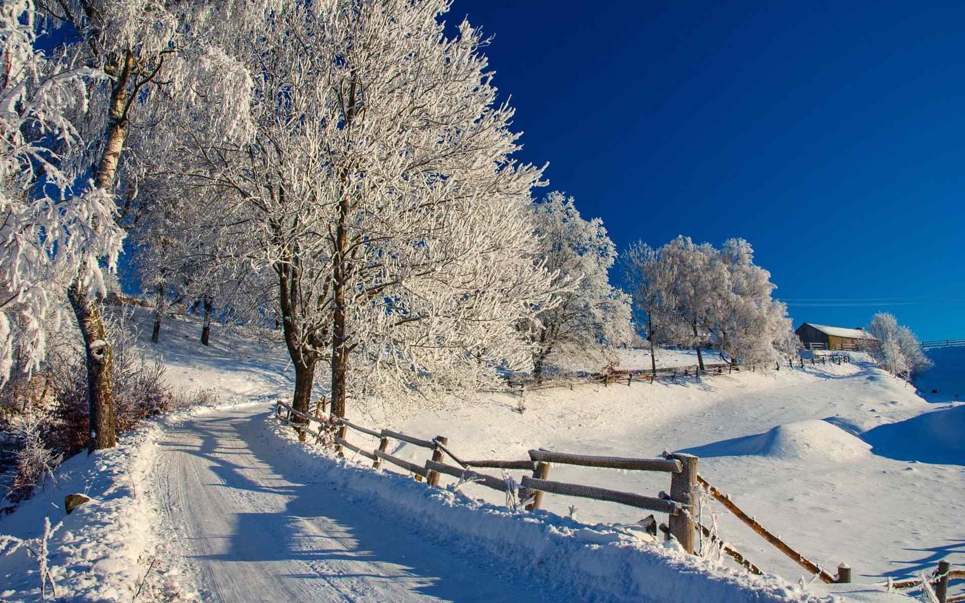 冬日小清新雪景图片桌面壁纸