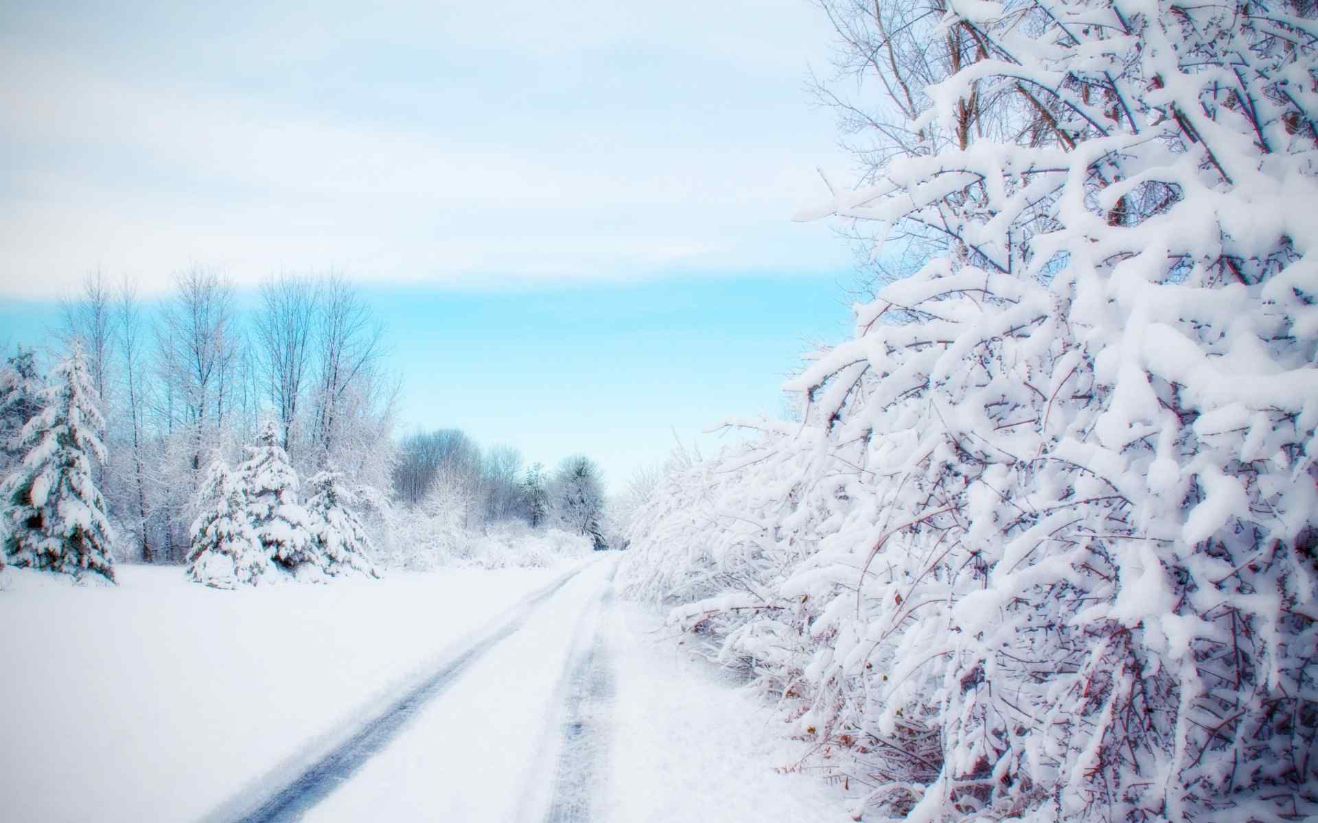 冬日小清新雪景图片桌面壁纸