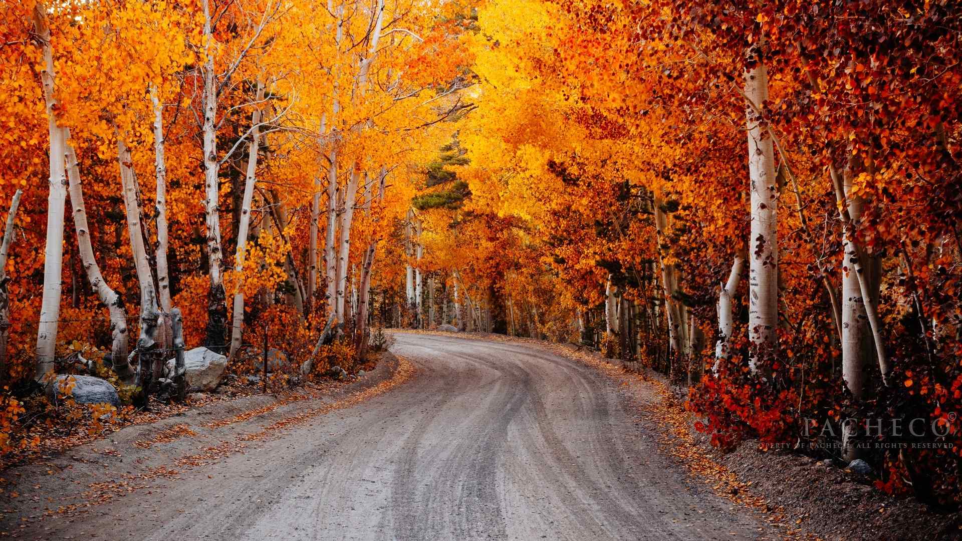 美丽的秋天风景高清桌面壁纸