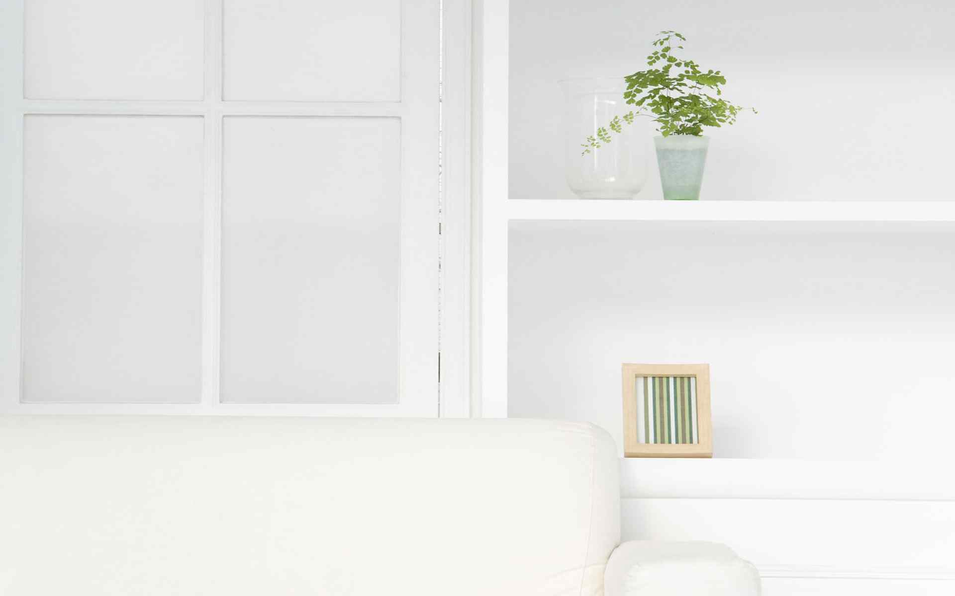 小清新绿色植物窗边写真高清壁纸