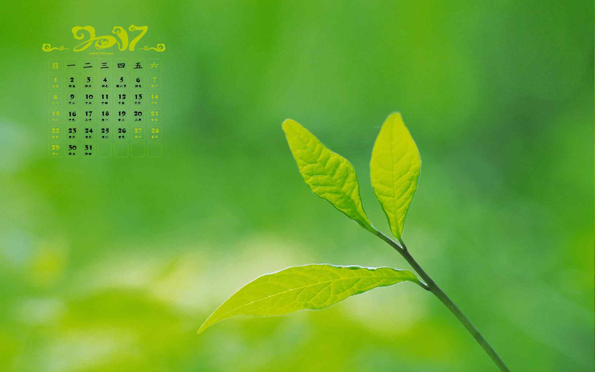 2017年1月日历绿色植物护眼桌面壁纸