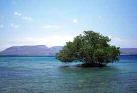 巴厘岛唯美海岛风情风景图高清桌面壁纸