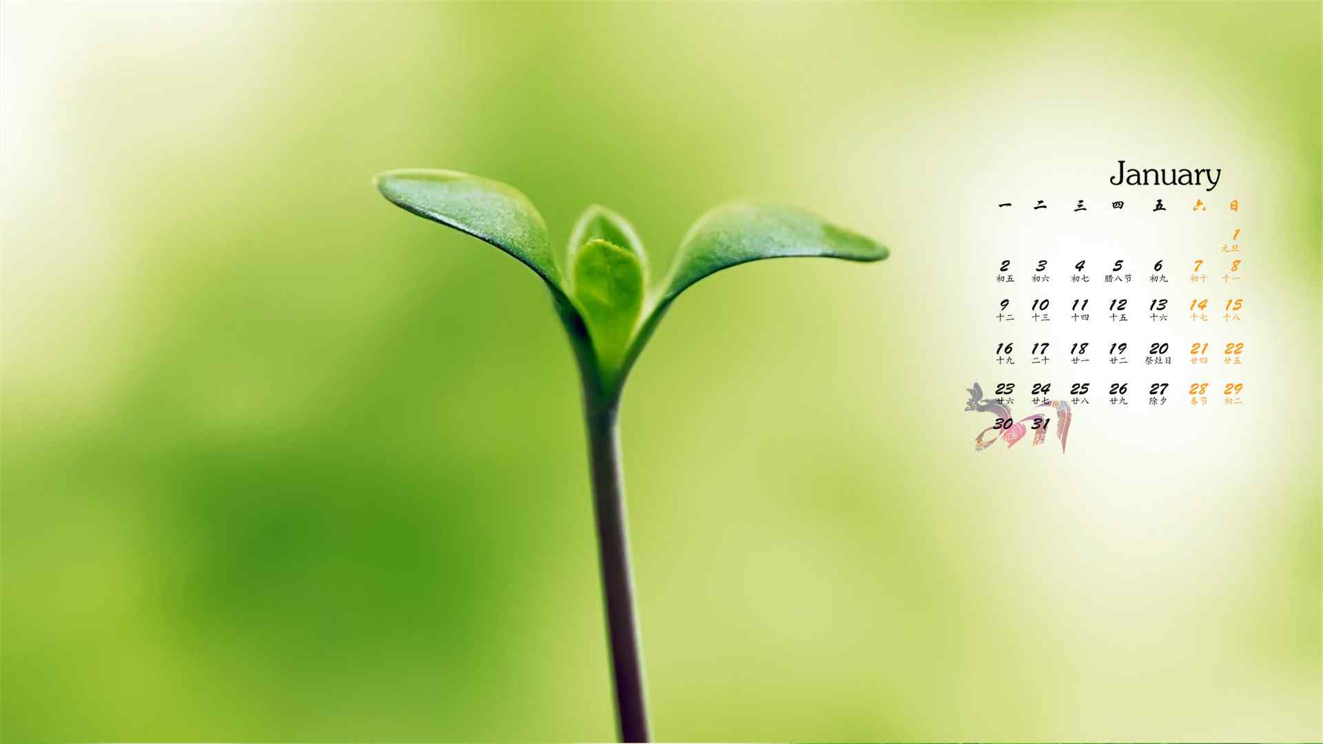 2017年1月日历绿色植物小清新桌面壁纸