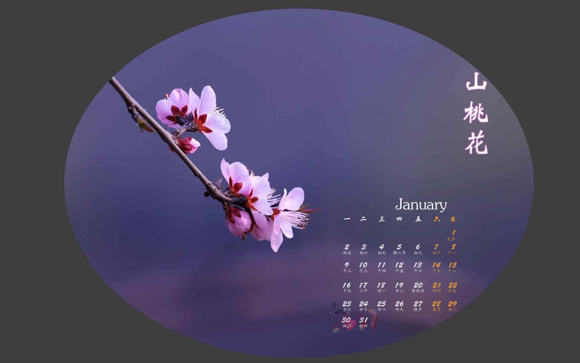 2017年1月日历美丽的山桃花图片桌面壁纸