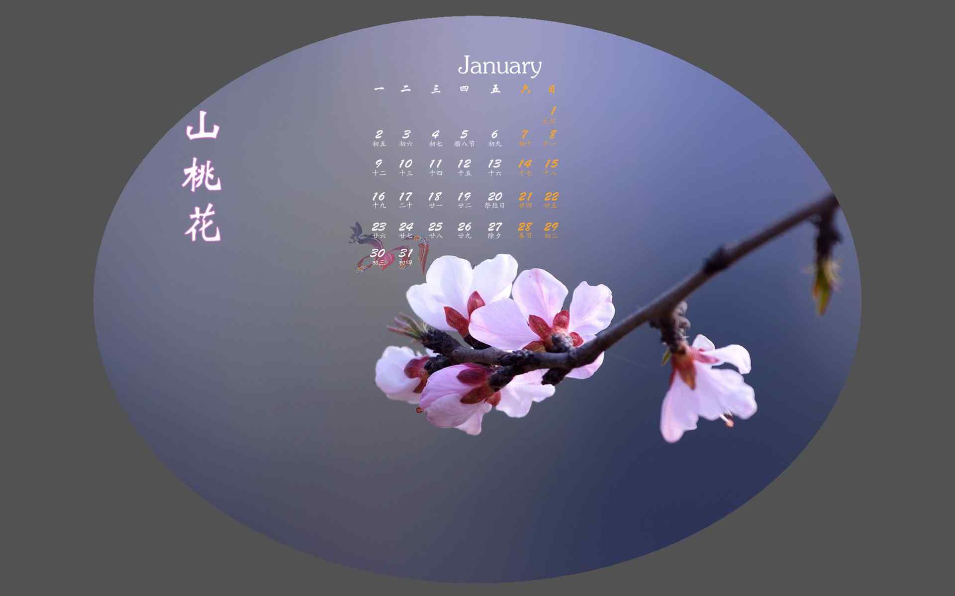 2017年1月日历美丽的山桃花图片桌面壁纸