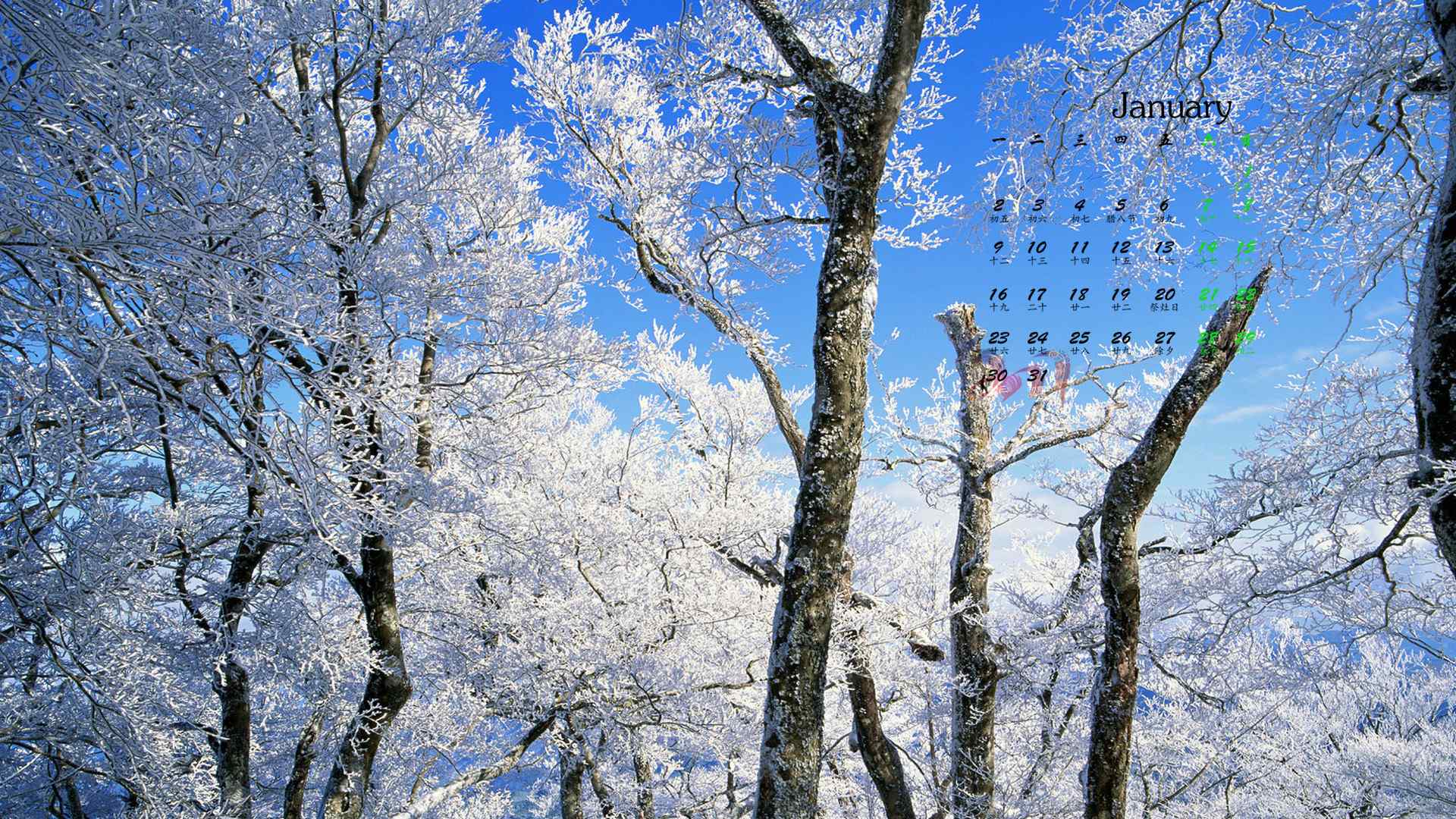 2017年1月日历唯美雪景高清桌面壁纸
