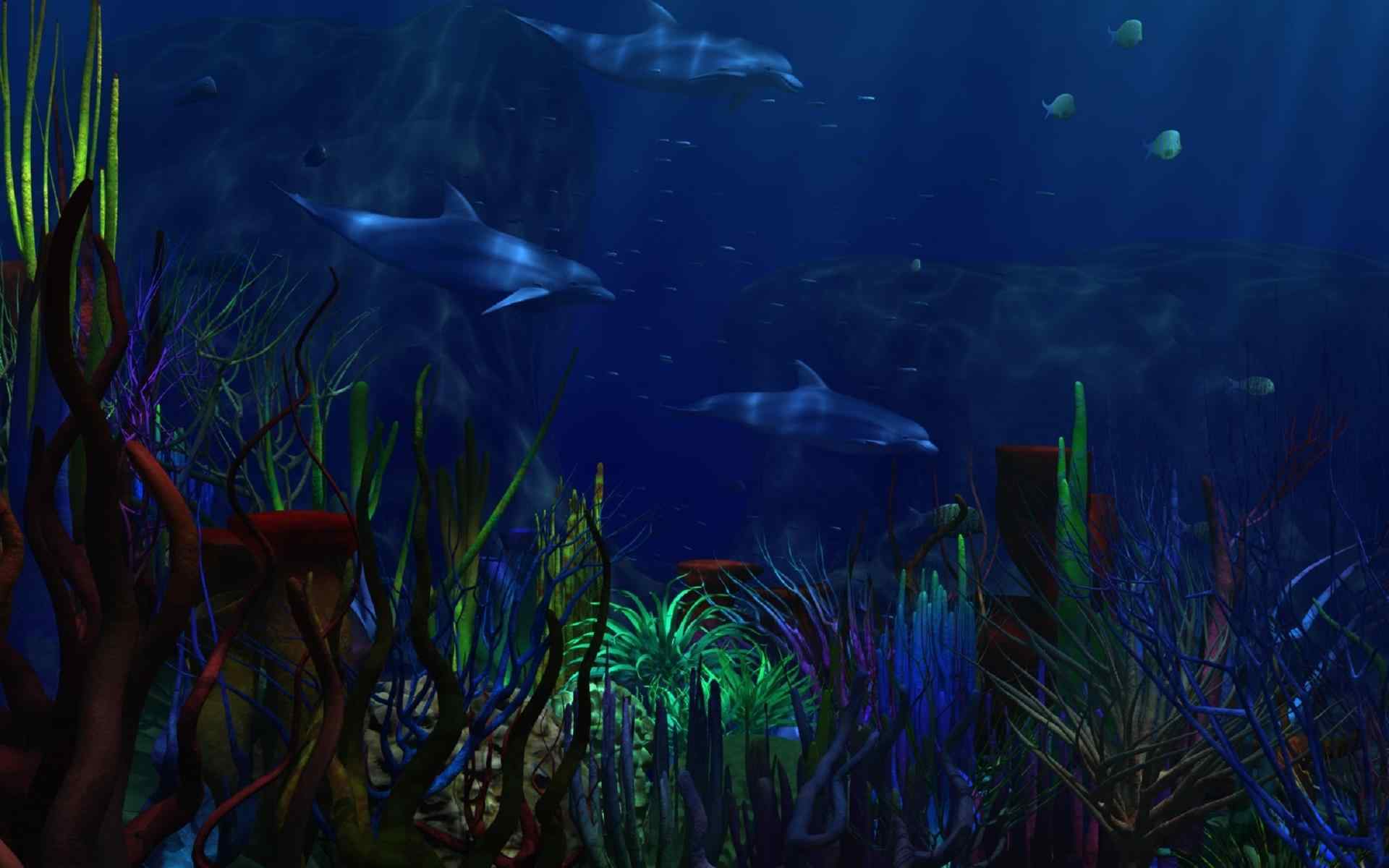 超好看的海底世界图片高清桌面壁纸