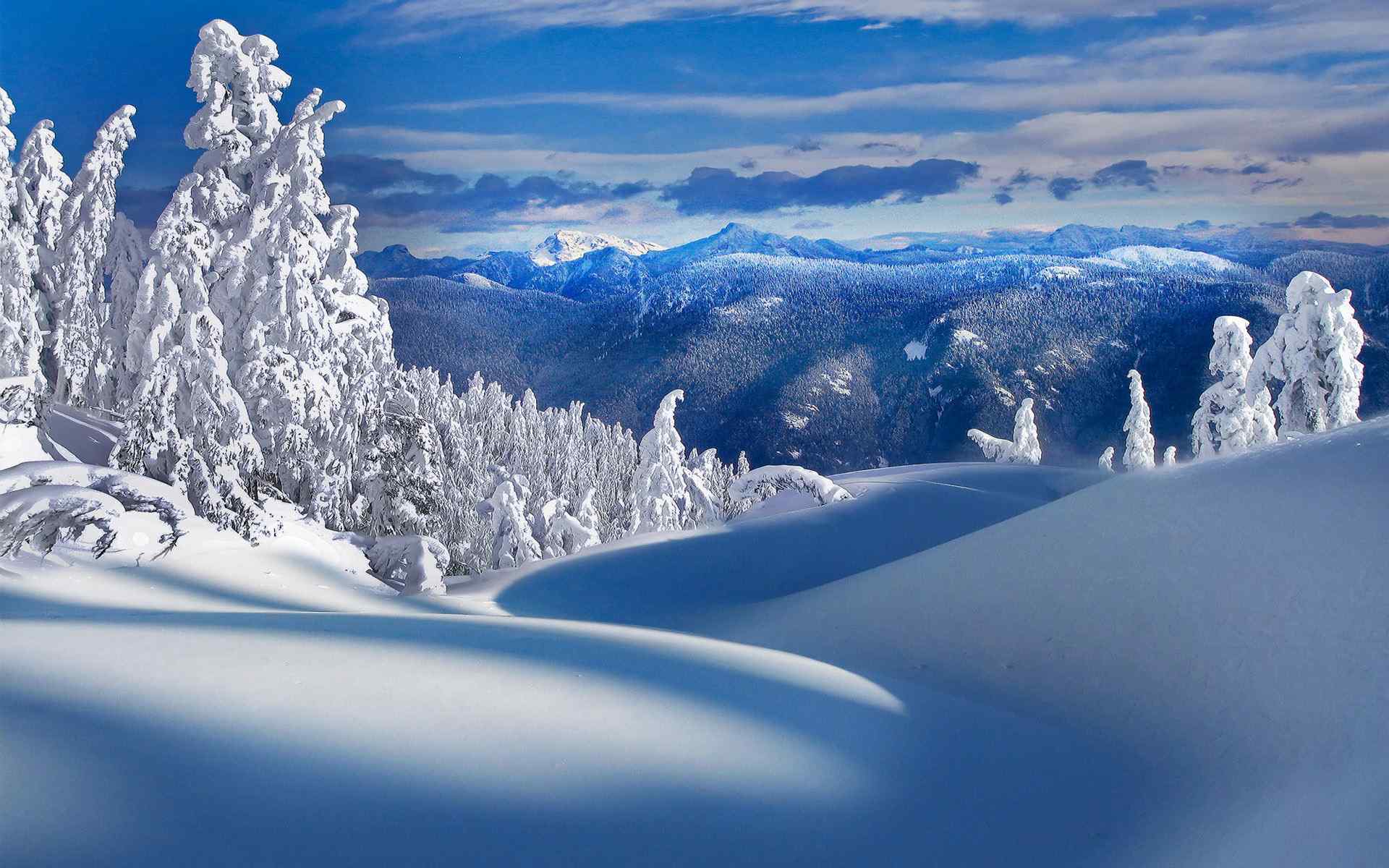 唯美小清新雪景图片高清桌面壁纸