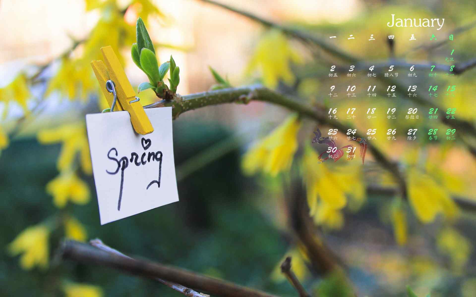 2017年1月日历唯美的春天花朵桌面壁纸