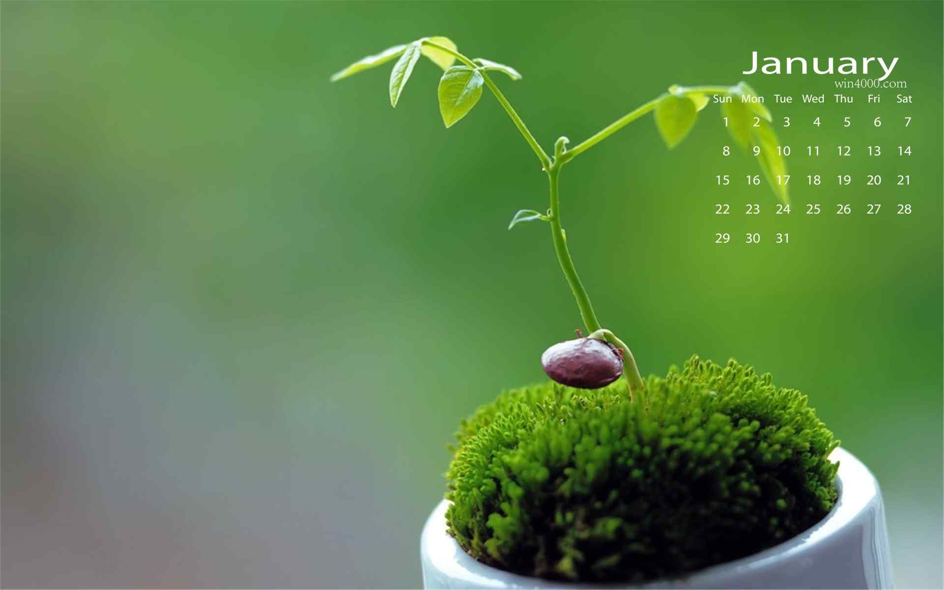 2017年1月日历可爱绿色植物图片桌面壁纸