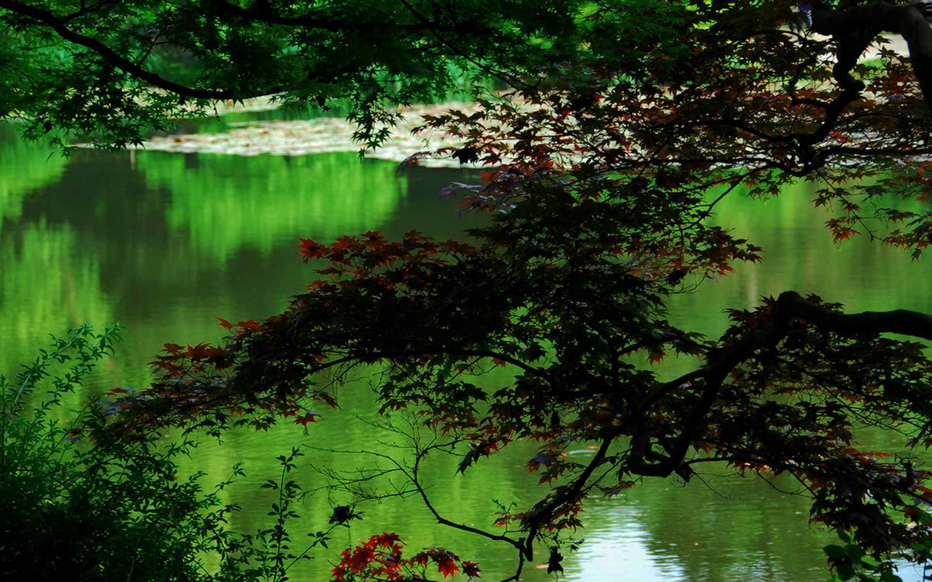 美丽的杭州西湖美景高清壁纸