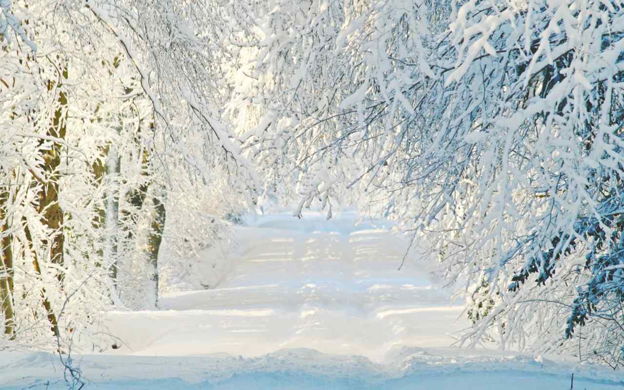 好看的小清新雪景图片高清壁纸