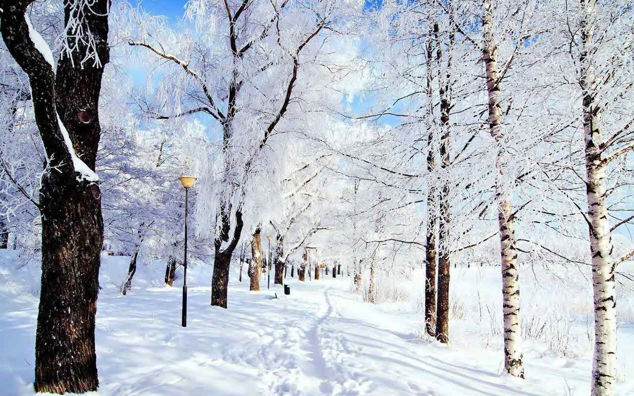 唯美清新的雪景图片高清壁纸