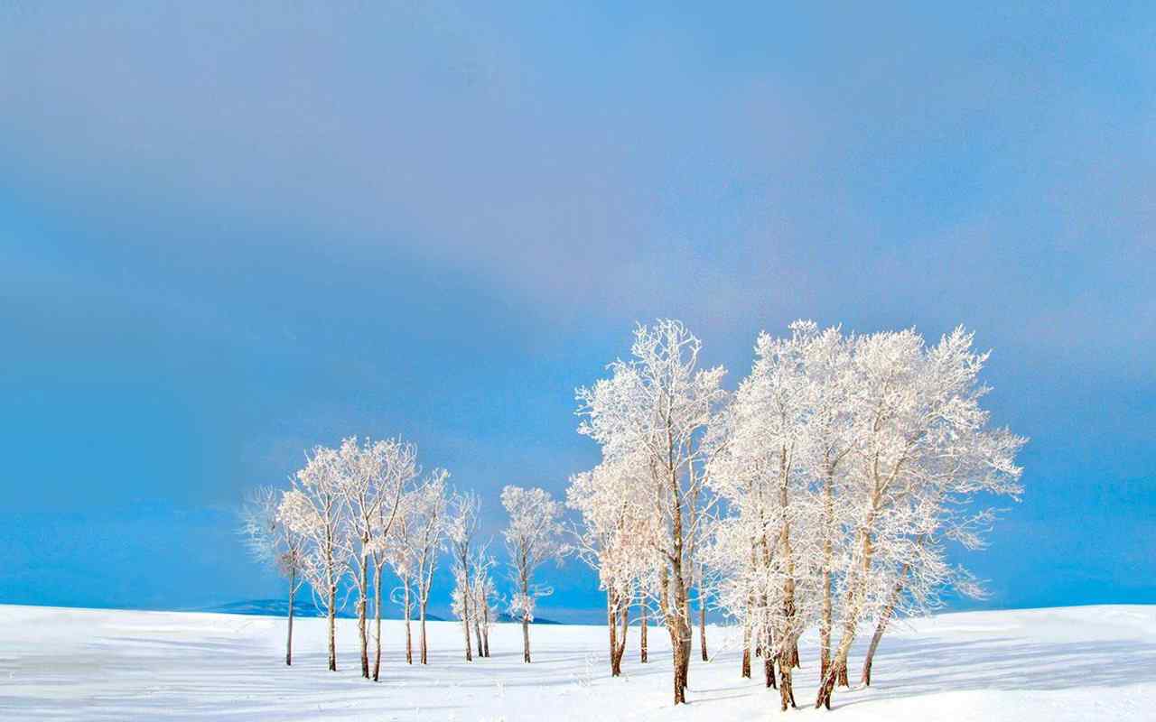 唯美清新的雪景图片高清壁纸