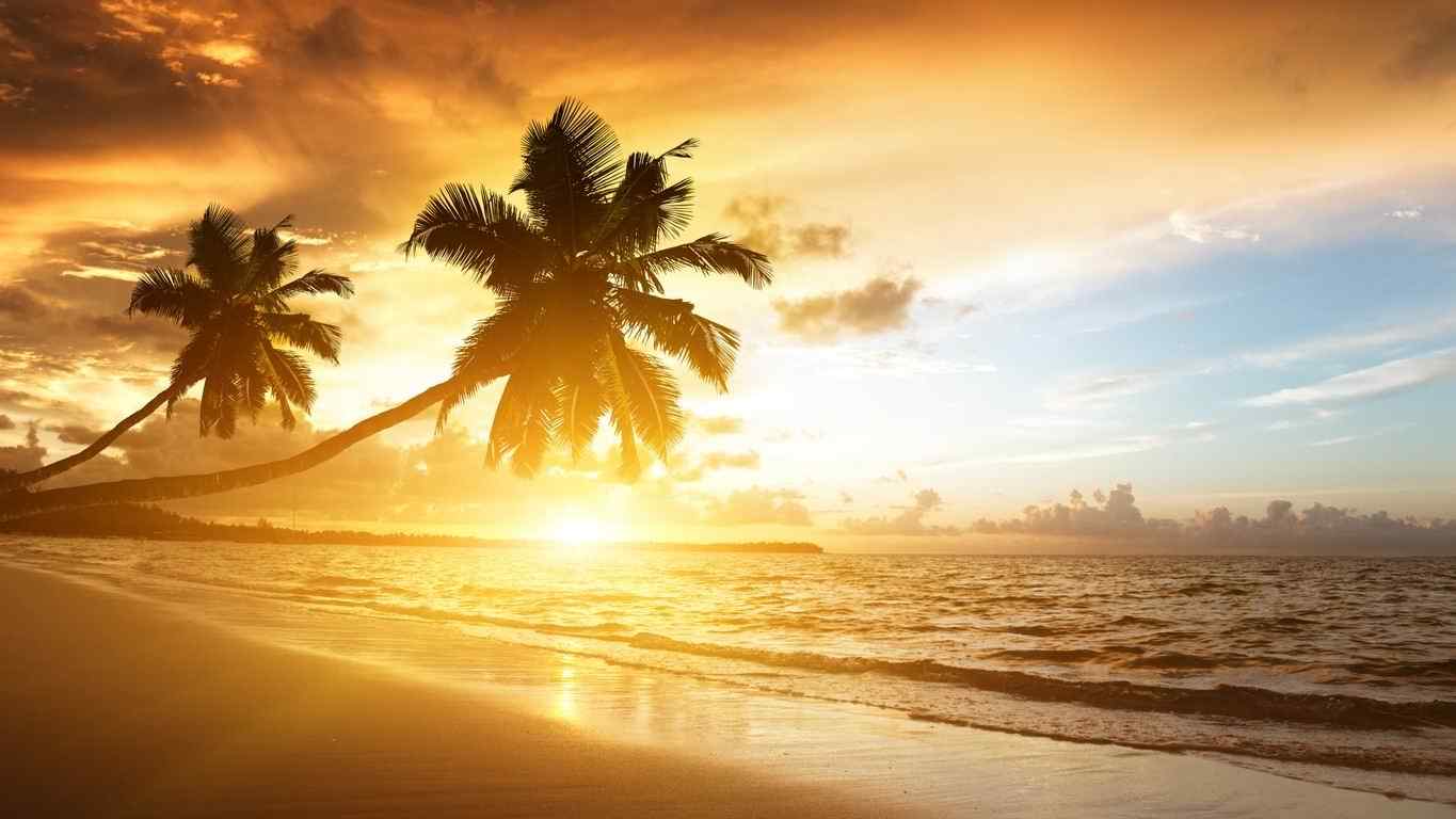 好看的沙滩椰树风景图片高清壁纸