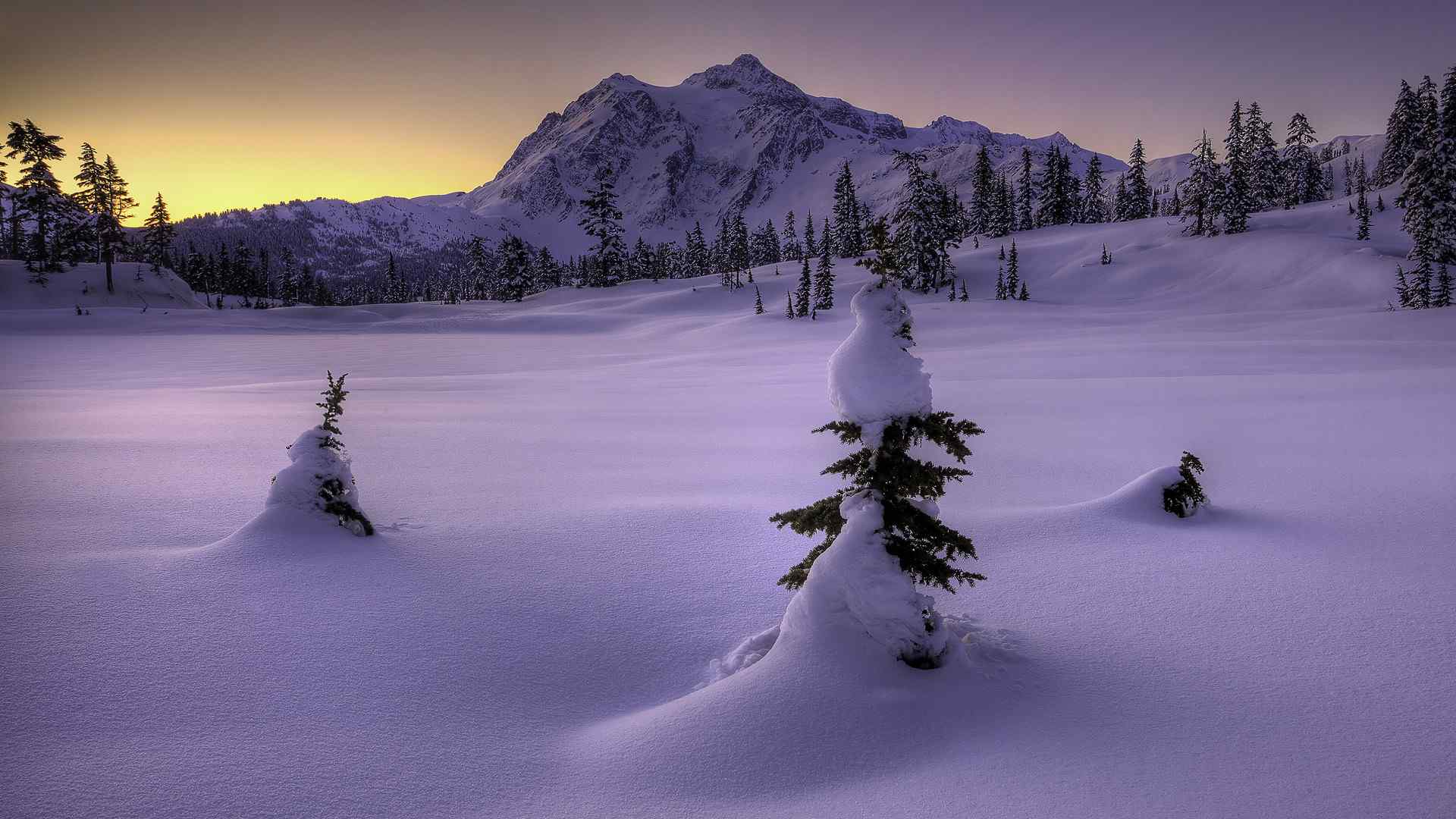 唯美好看的雪天夜景图片桌面壁纸