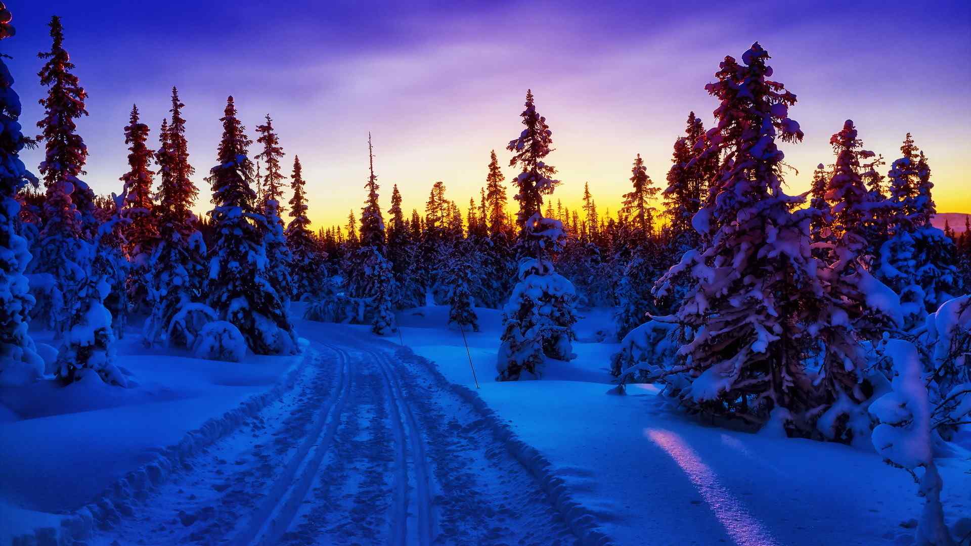 唯美冬天雪景风景图片壁纸