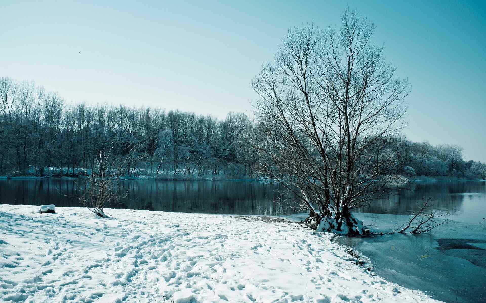 壮观的冬雪覆盖下的湖水高清壁纸