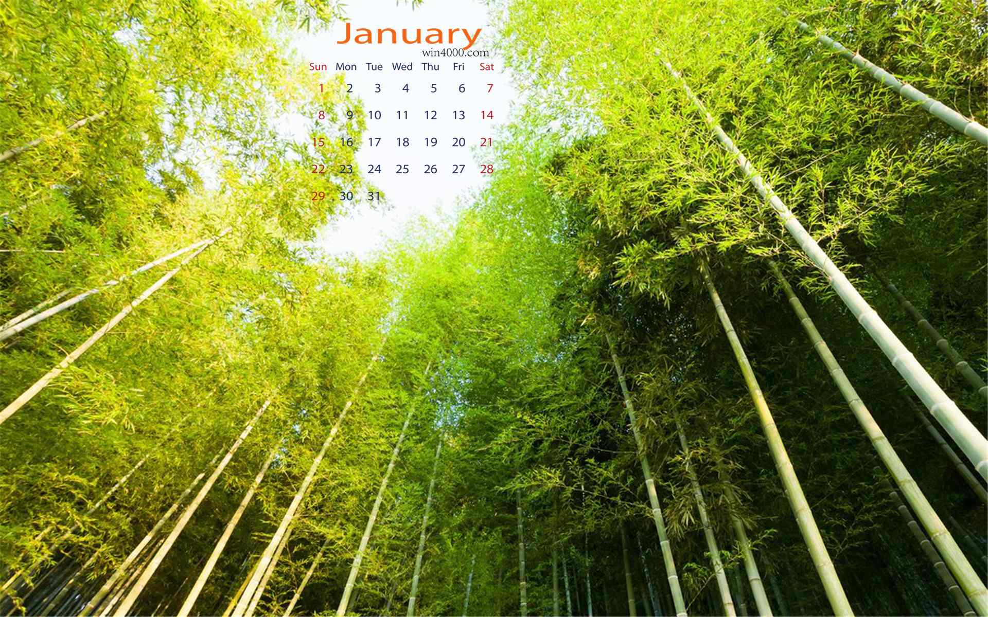 2017年1月日历绿色自然风景图片