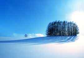 美丽的雪景图片高清桌面壁纸