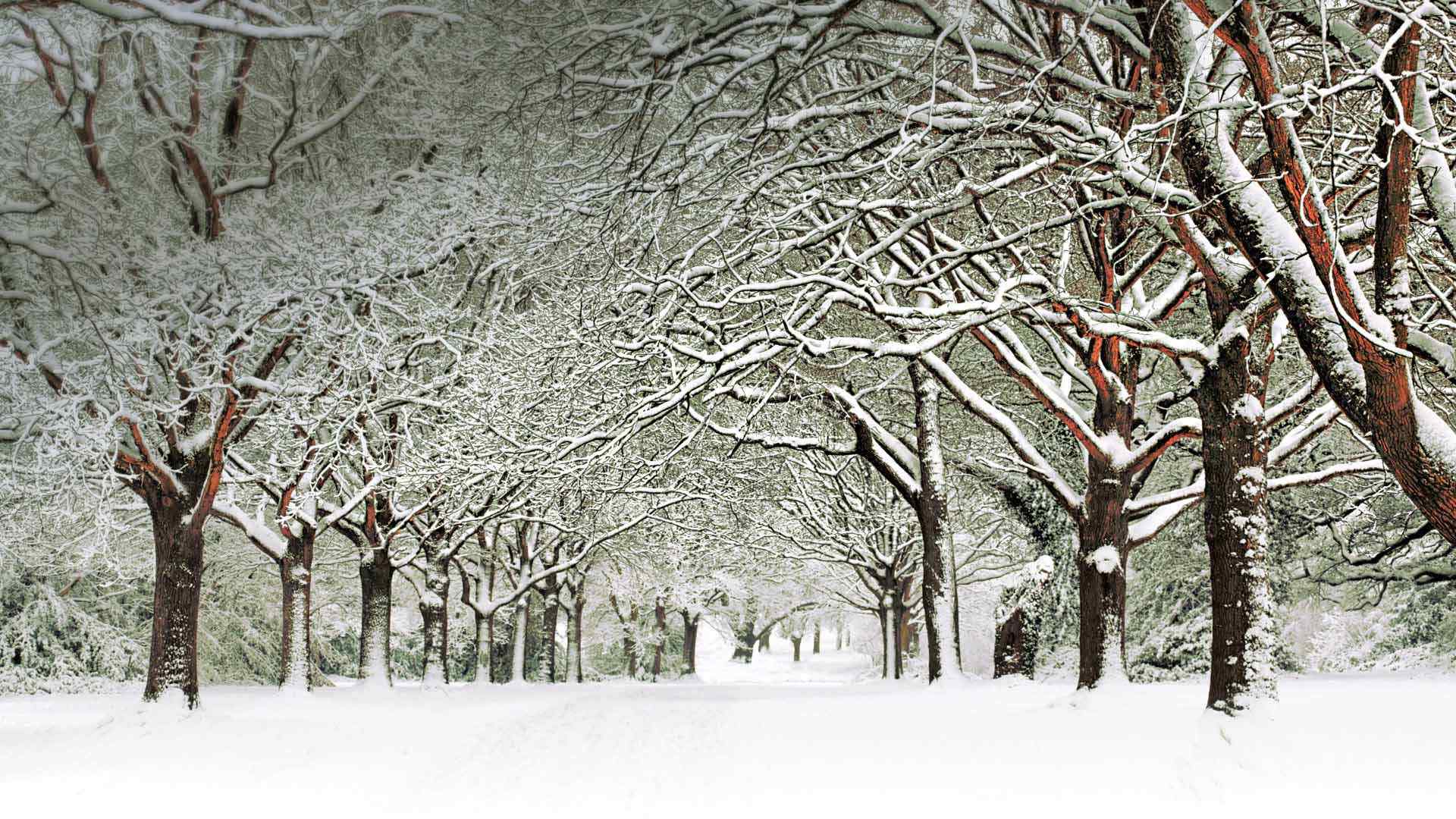 唯美冬季大自然雪景高清桌面壁纸