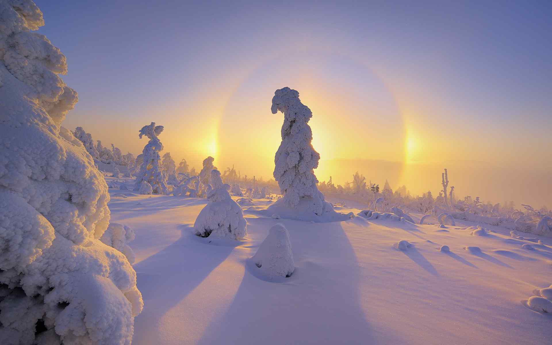 美丽冬日大雪风景图片壁纸