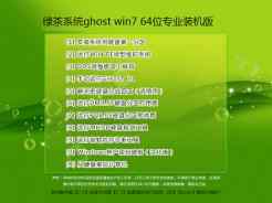 绿茶系统ghost win7 64位专业装机版V2016.03